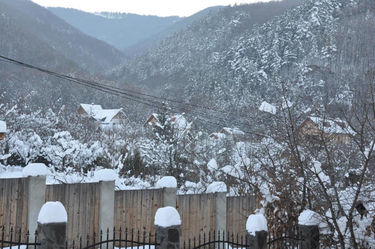 Casa De Vacanta Sadu Dış mekan fotoğraf
