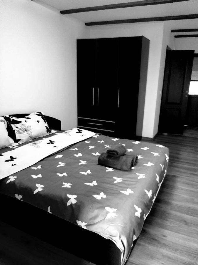Casa De Vacanta Sadu Dış mekan fotoğraf