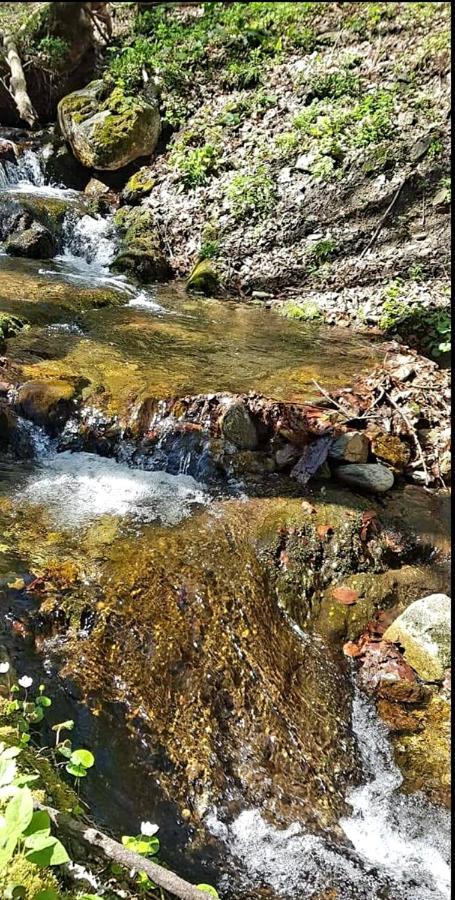 Casa De Vacanta Sadu Dış mekan fotoğraf